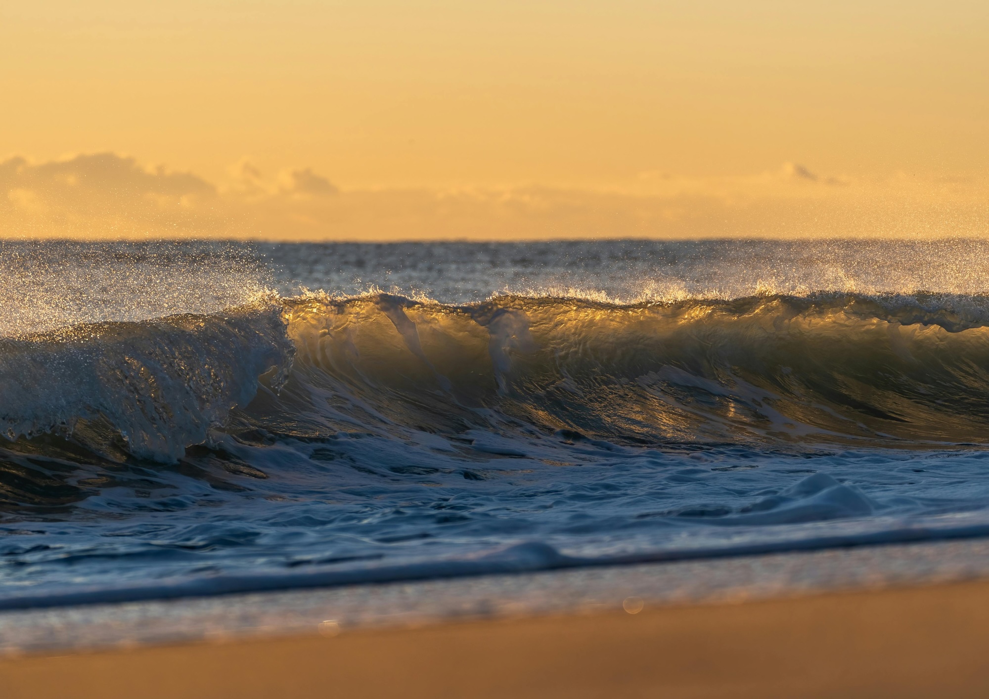 Rituel French Riviera